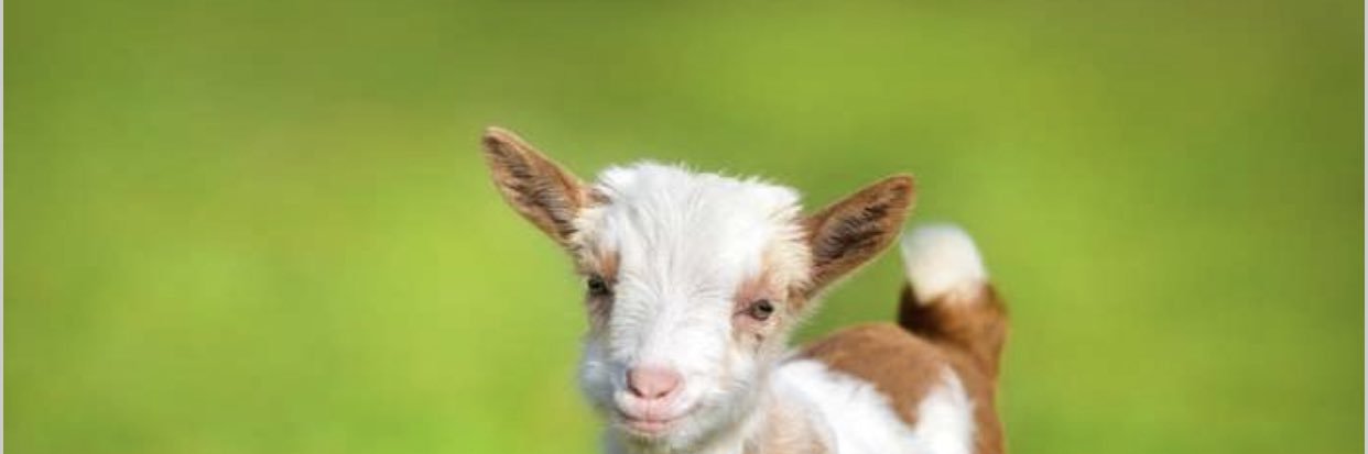 Angel B. 💋 banner