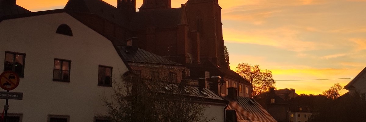 Alkistis Skalkidou banner