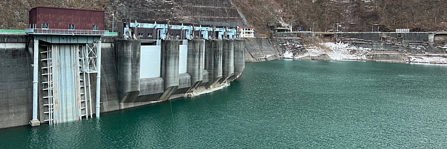 でかパンダ banner