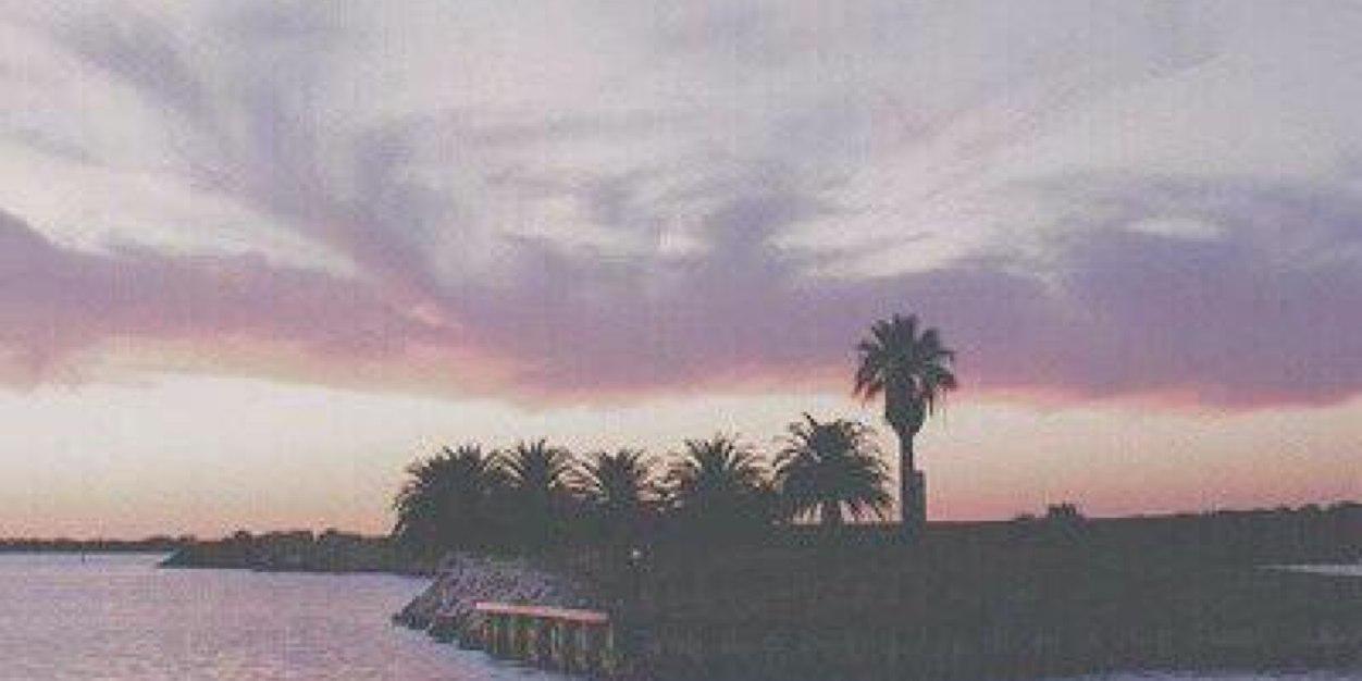 fuzzfullofzayn's profile banner image