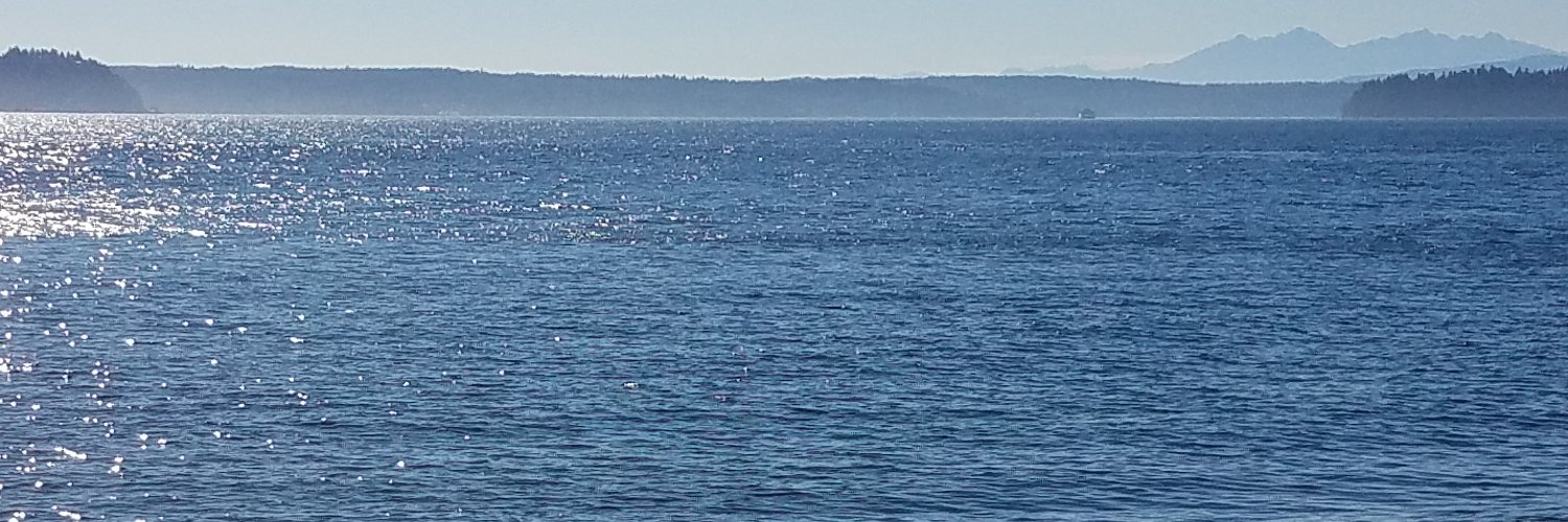 Sherri Edwards banner