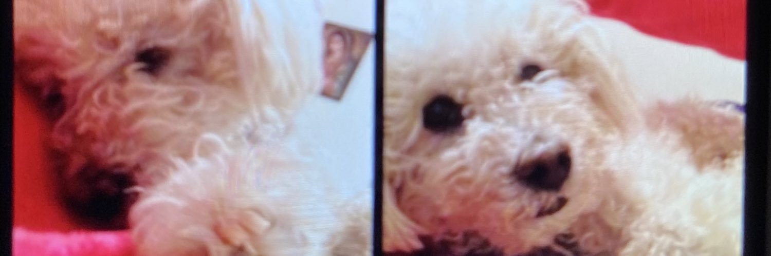 _jackiesotelo's profile banner image