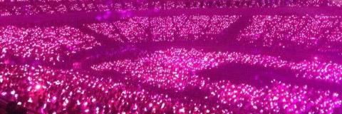 cham_msm's profile banner image
