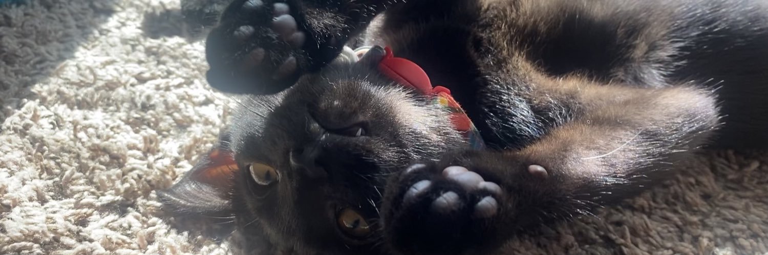 beckyszn's profile banner image