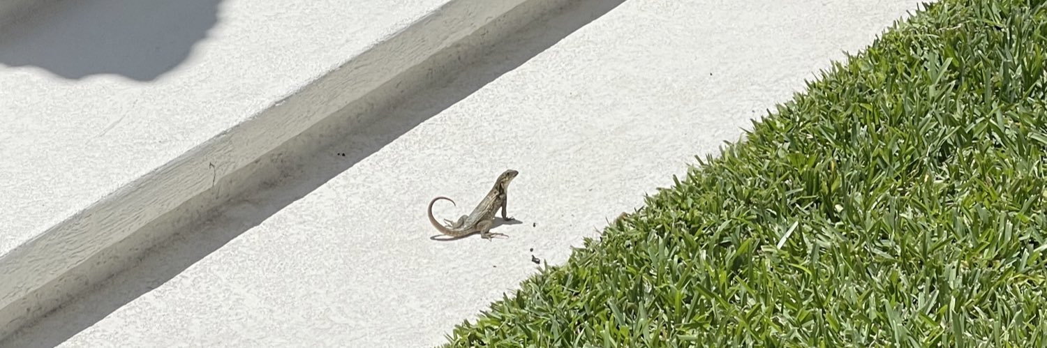 Connor Graser banner