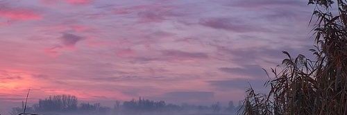 mela_florence's profile banner image