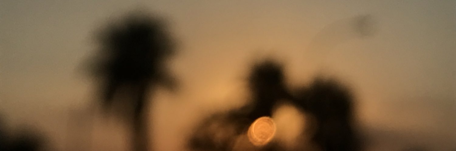 levon_mn's profile banner image