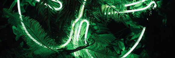 feedforthetree Profile Banner