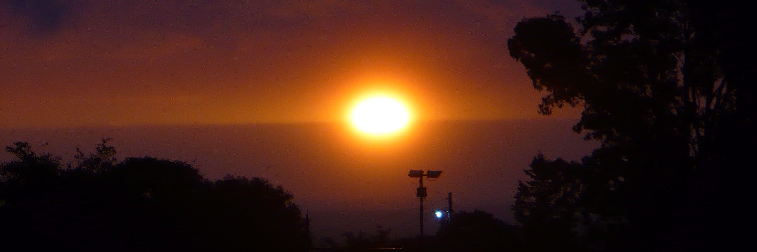 Pablo E. Tomatis banner