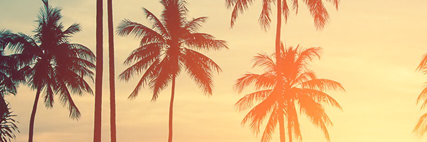 itsvalrennie's profile banner image