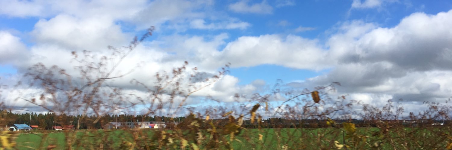 lanlanland32's profile banner image