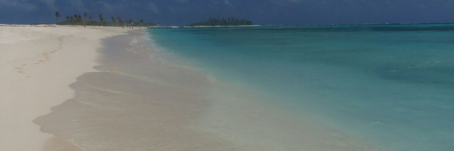 SaiCarisimo's profile banner image