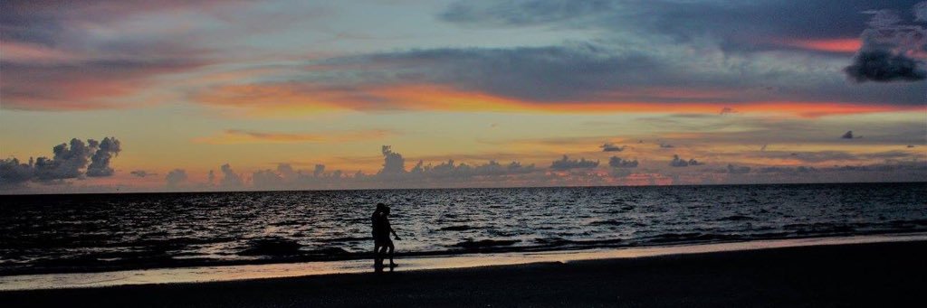 danii_cotee's profile banner image