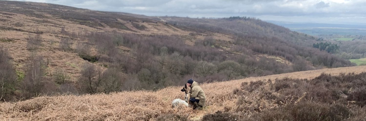 Kyle Davis 🚶🏽 banner