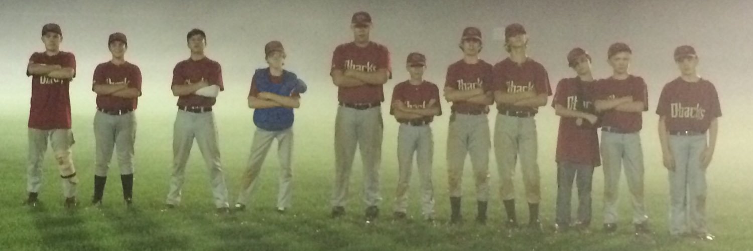 Steve Primrose banner