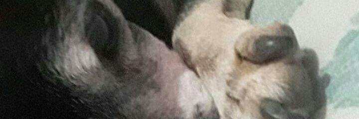 JimeCoronel01's profile banner image