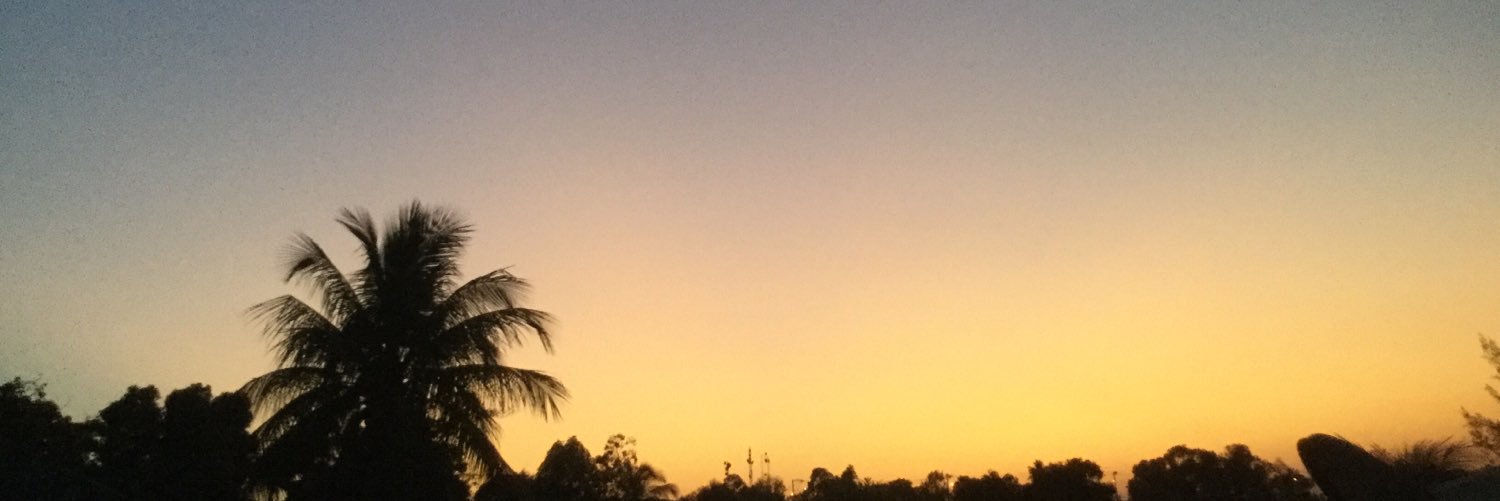 lpjr25's profile banner image