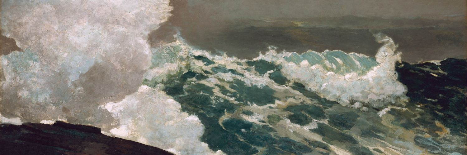 Lucas 🌊's banner