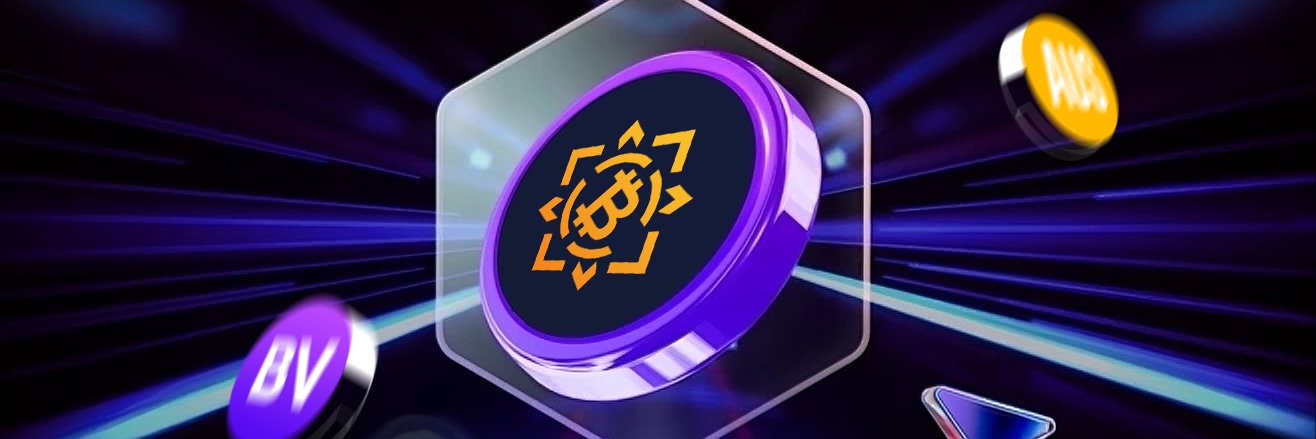 BitVaultpro's profile banner image