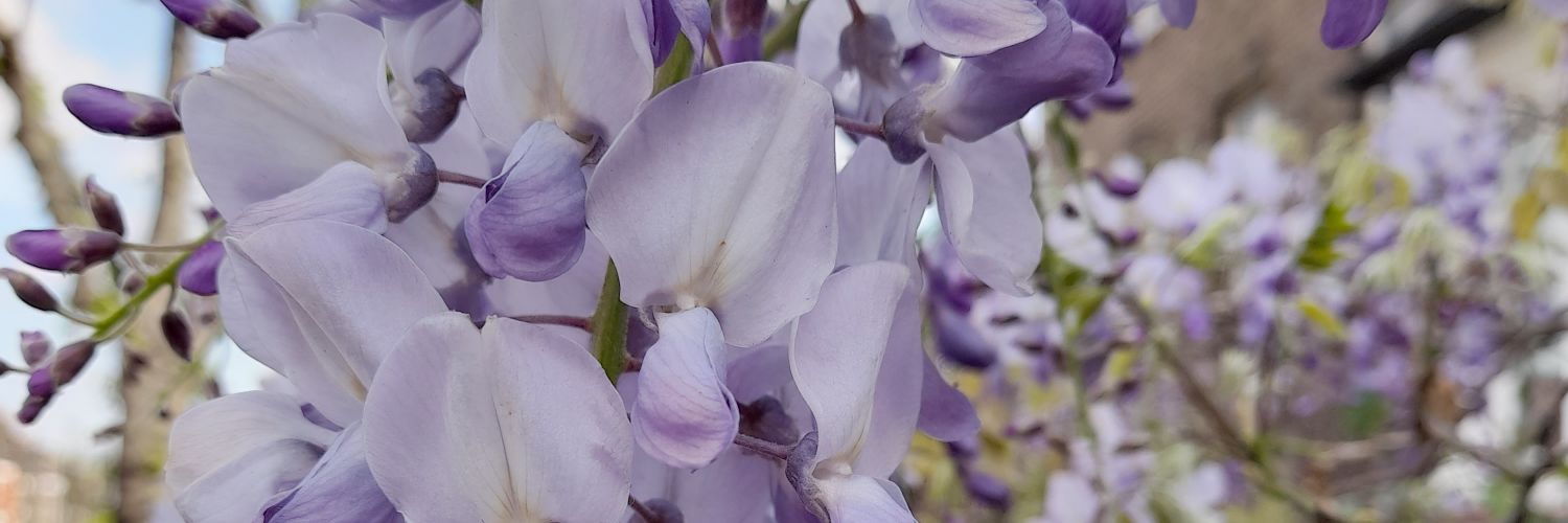 Kat_Rowson's profile banner image