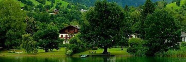 عبدالله الحارثي banner