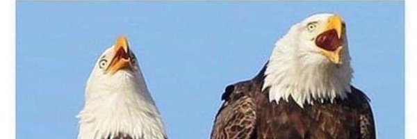 richyricky63 Profile Banner