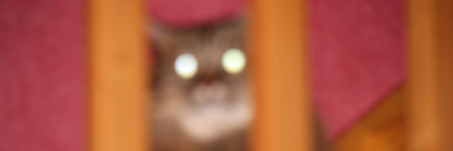 Ace_AlxC1's profile banner image