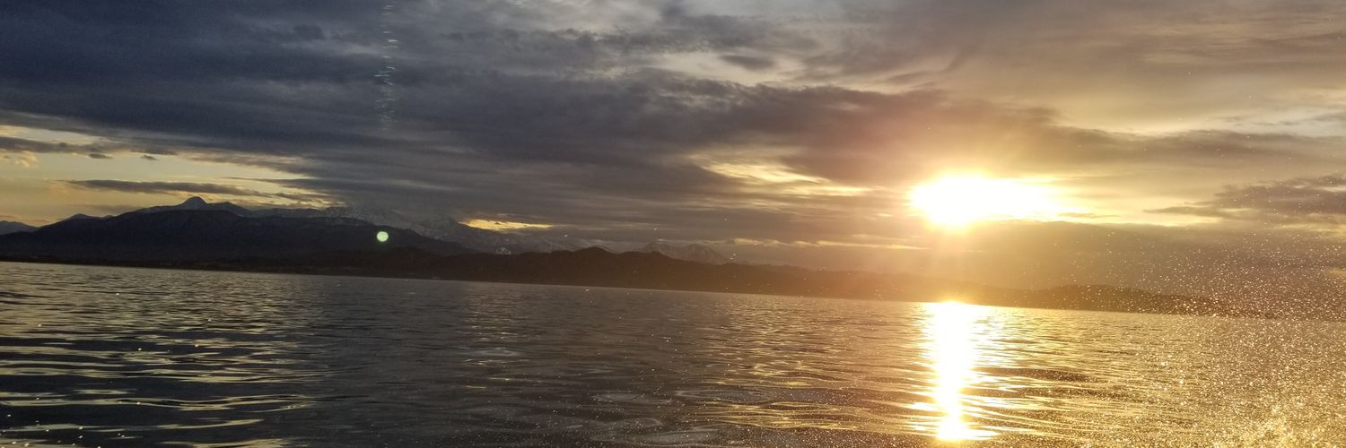 bigspearsquid's profile banner image