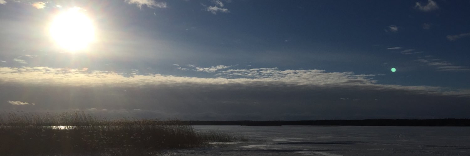 Anna Koivisto banner