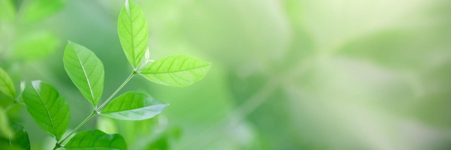 v_virginija's profile banner image