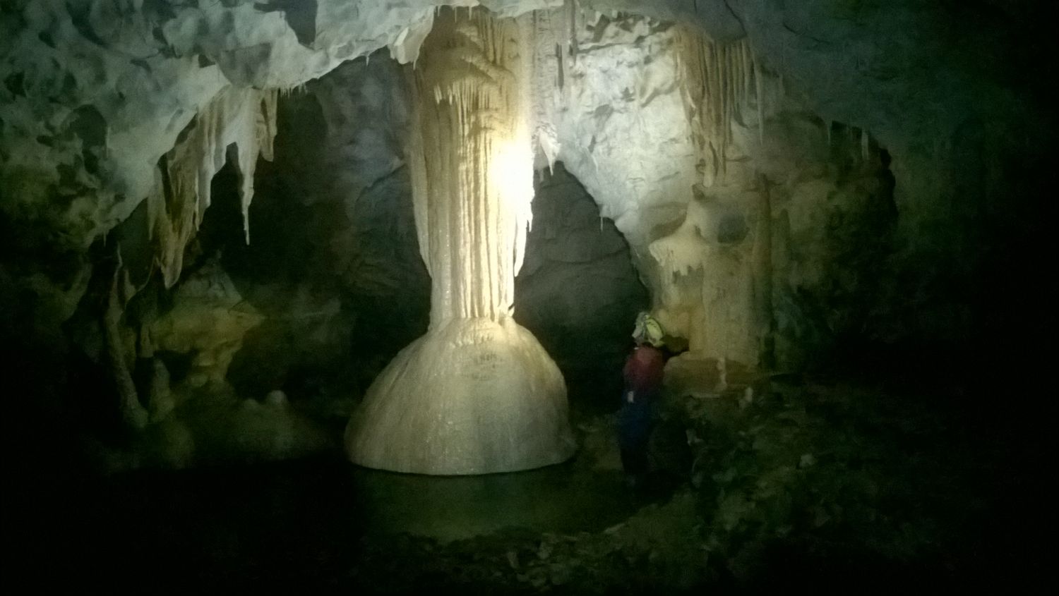 Tara Beacroft banner