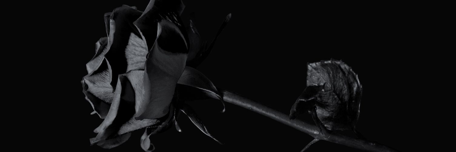 _______kenzo___'s profile banner image