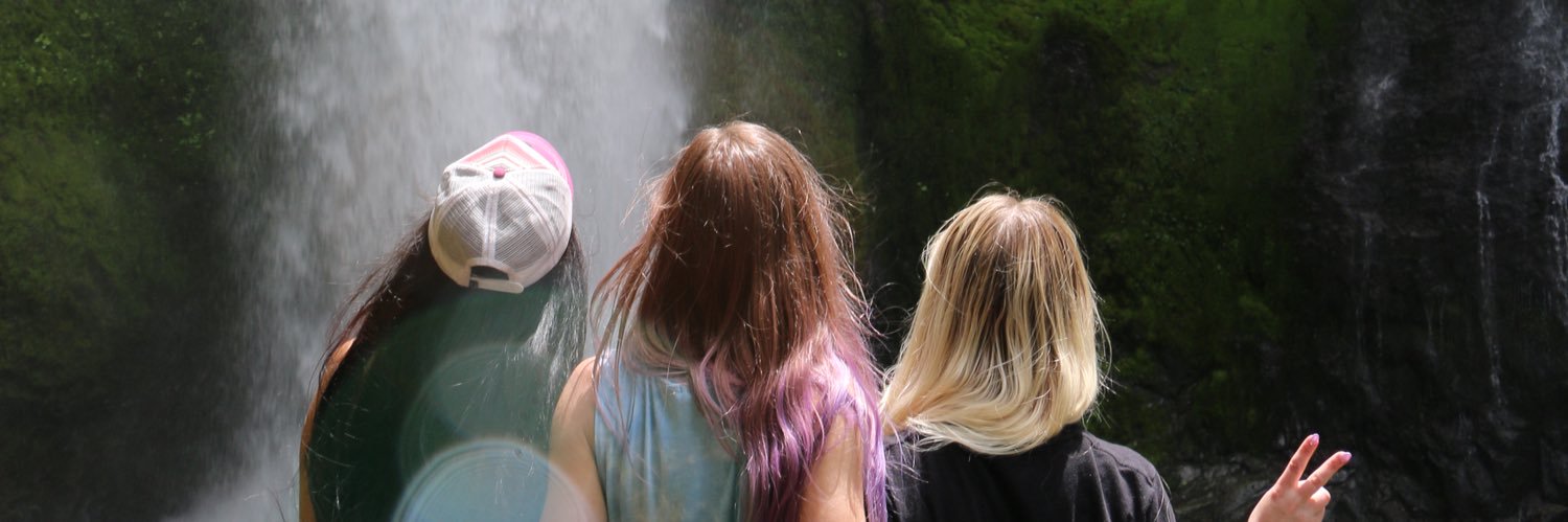 AllysonRogie's profile banner image