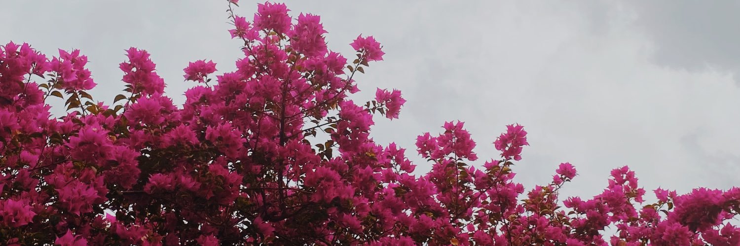 Tiarasanni's profile banner image