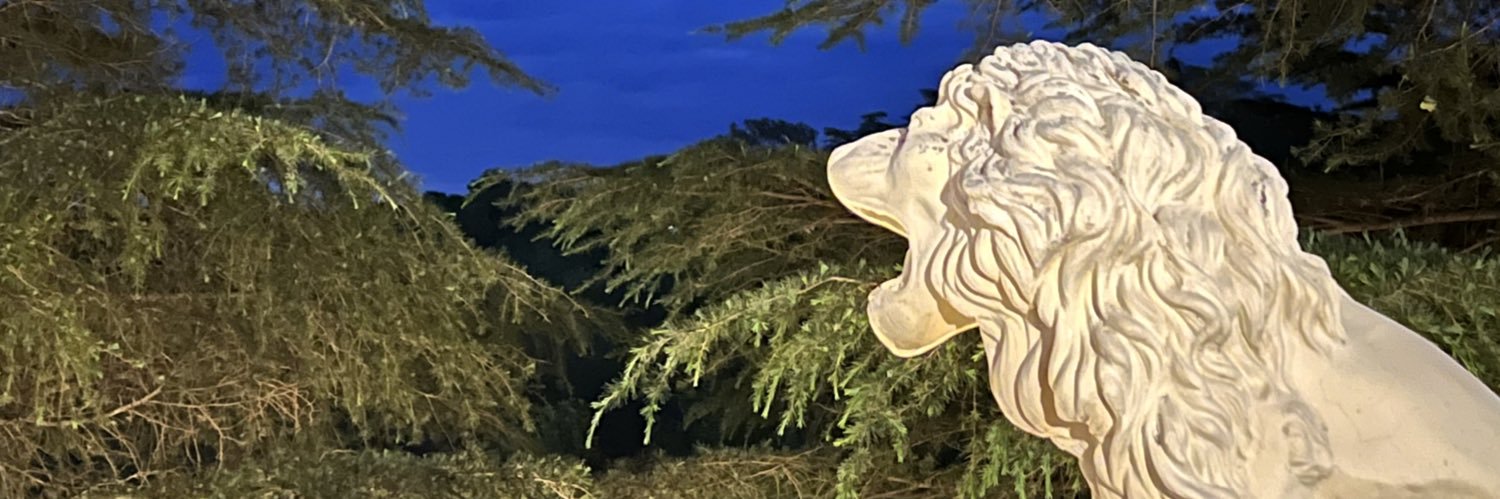 bymarionr's profile banner image