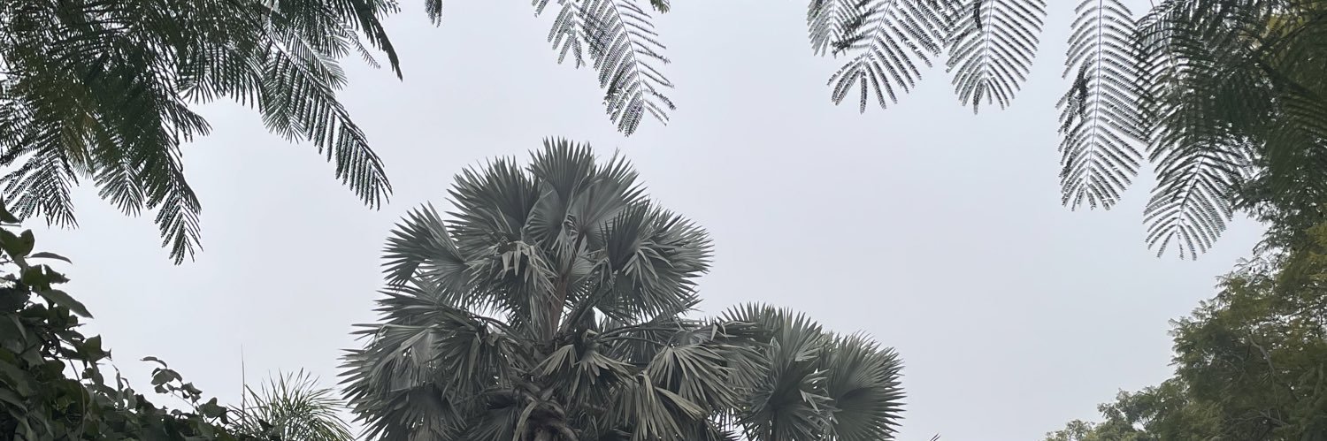 Divvya Nirula banner