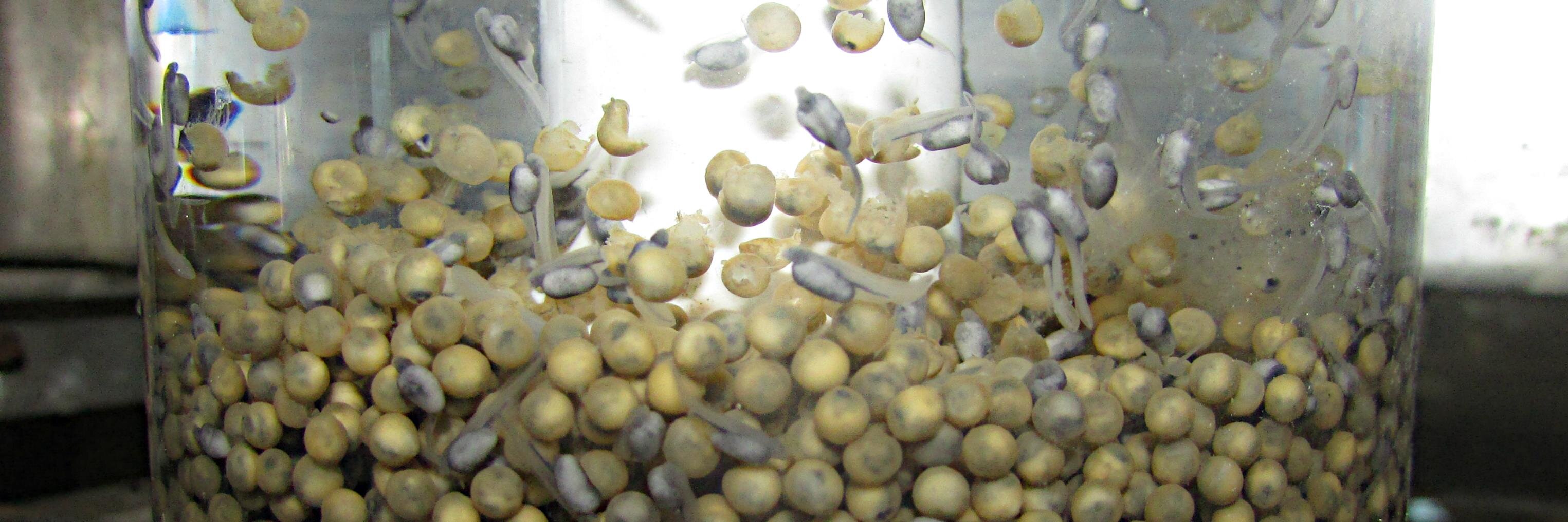 Gavins Point NFH banner