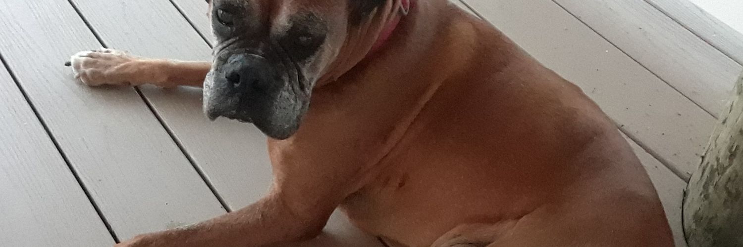 coryscrib's profile banner image