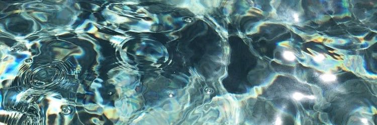 reneearambula's profile banner image