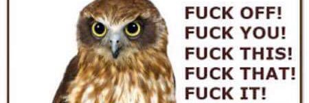 Stuaspy's profile banner image