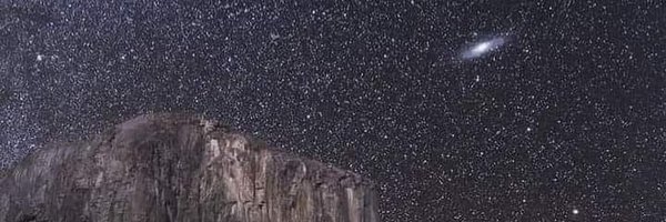 forallcurious Profile Banner