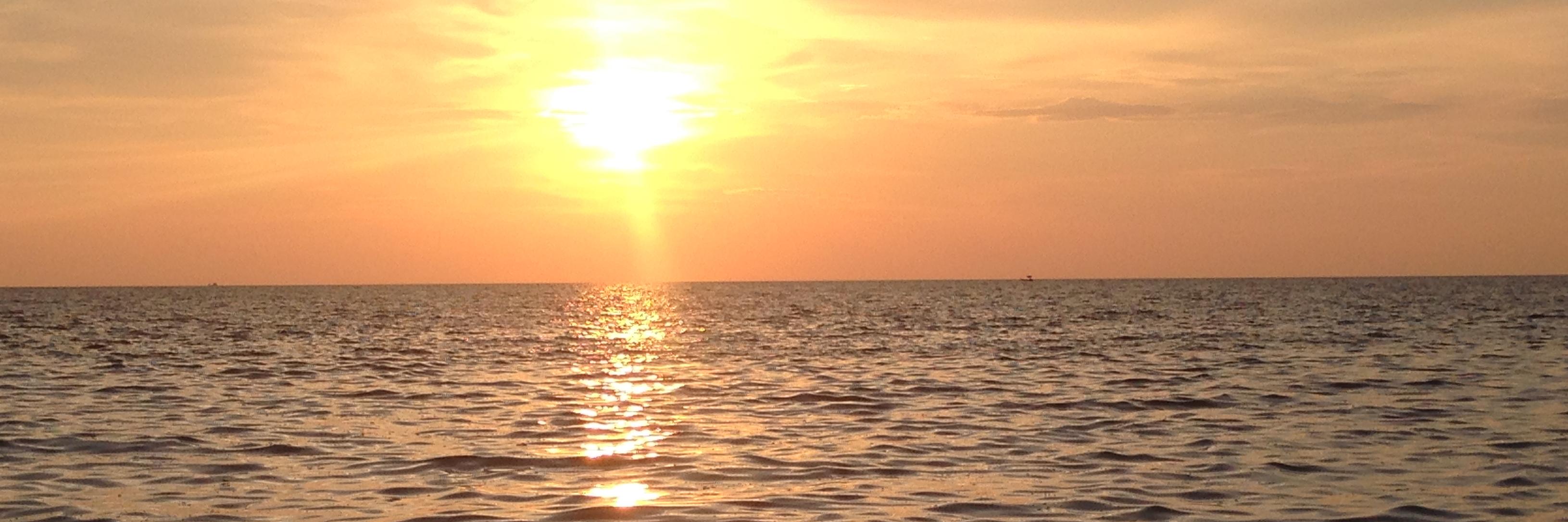 Francesco Calderoni banner