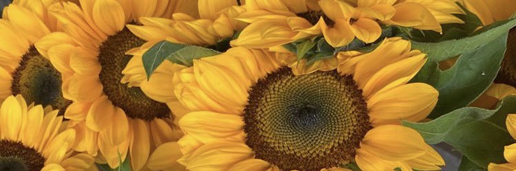 marionguzman_'s profile banner image