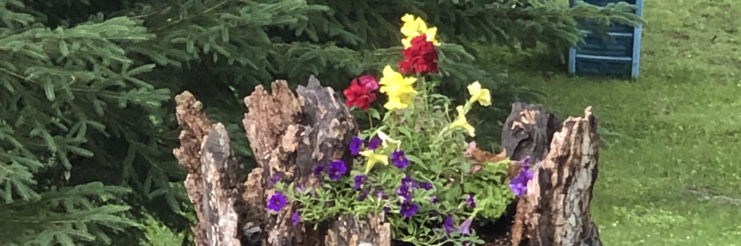 HolmesJayme's profile banner image