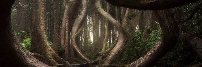 pan_daran's profile banner image