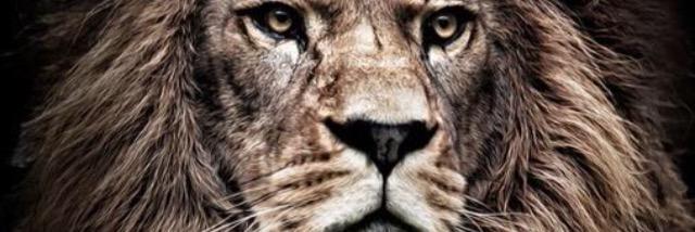 tylerwilder44's profile banner image