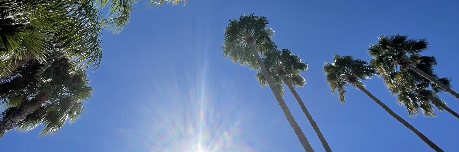 daniellemaurer_'s profile banner image