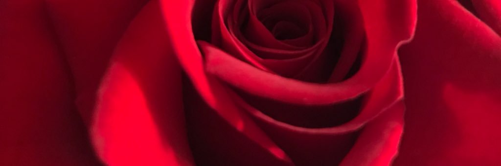 WTaura's profile banner image