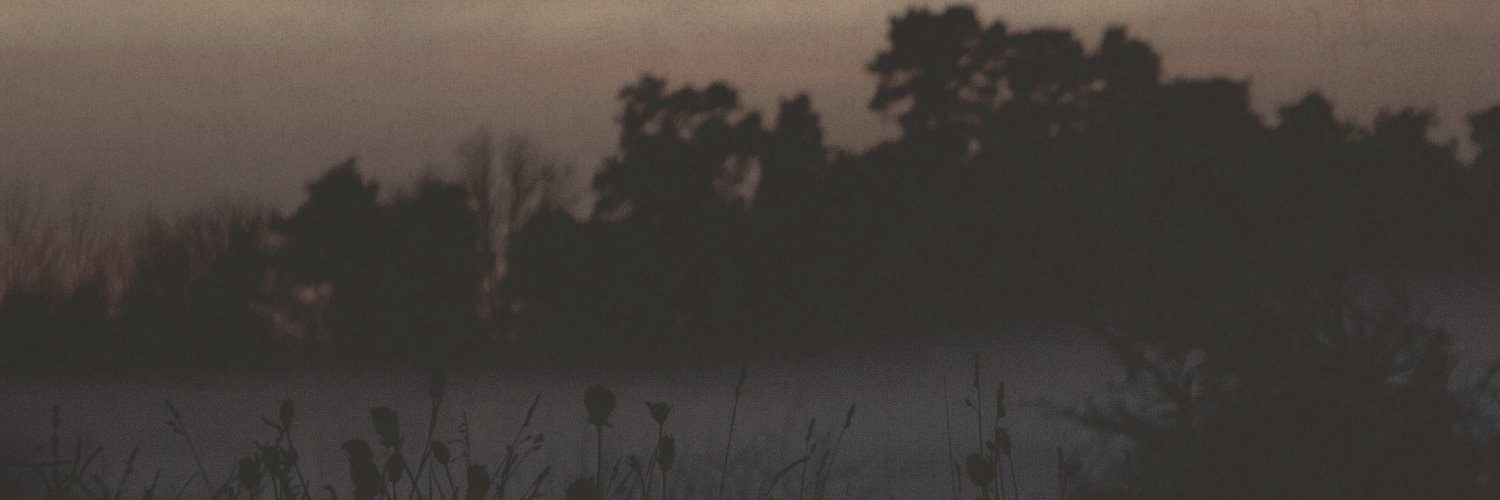 A Cerulean State banner