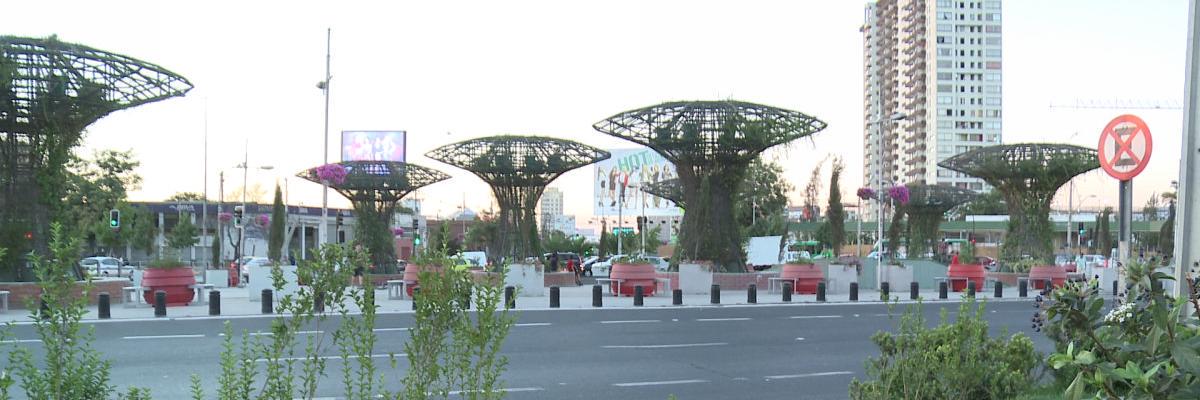 peliculaVitae's profile banner image